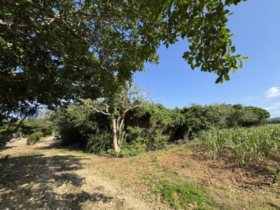 ◎北部 野底小学校バス停より徒歩5分◎