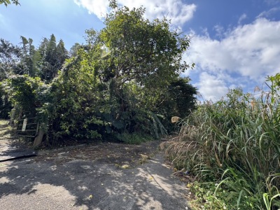 バンナ公園近くの土地